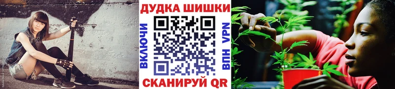 Бошки Шишки план  Боровск 